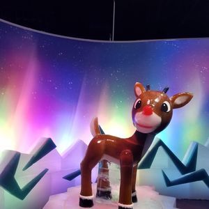 Meet your Posher, Clelia